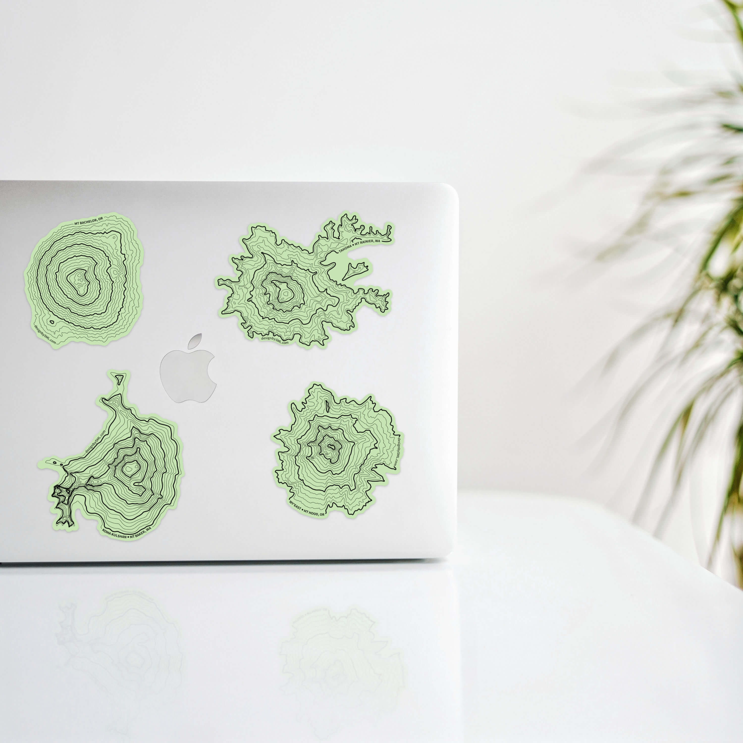 Mount Rainier Topography Sticker