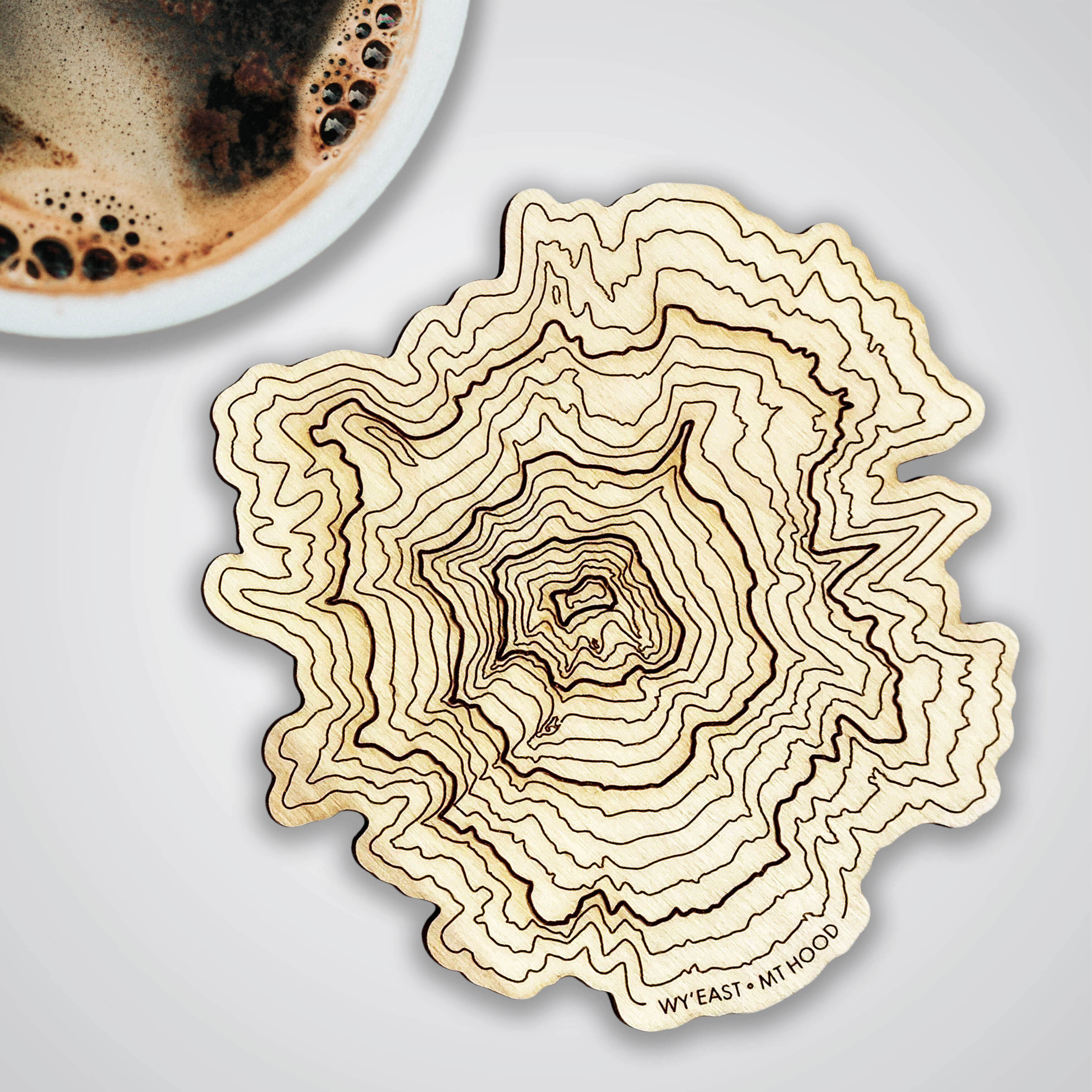 Oregon Volcanoes Topography Coasters - Set of 4