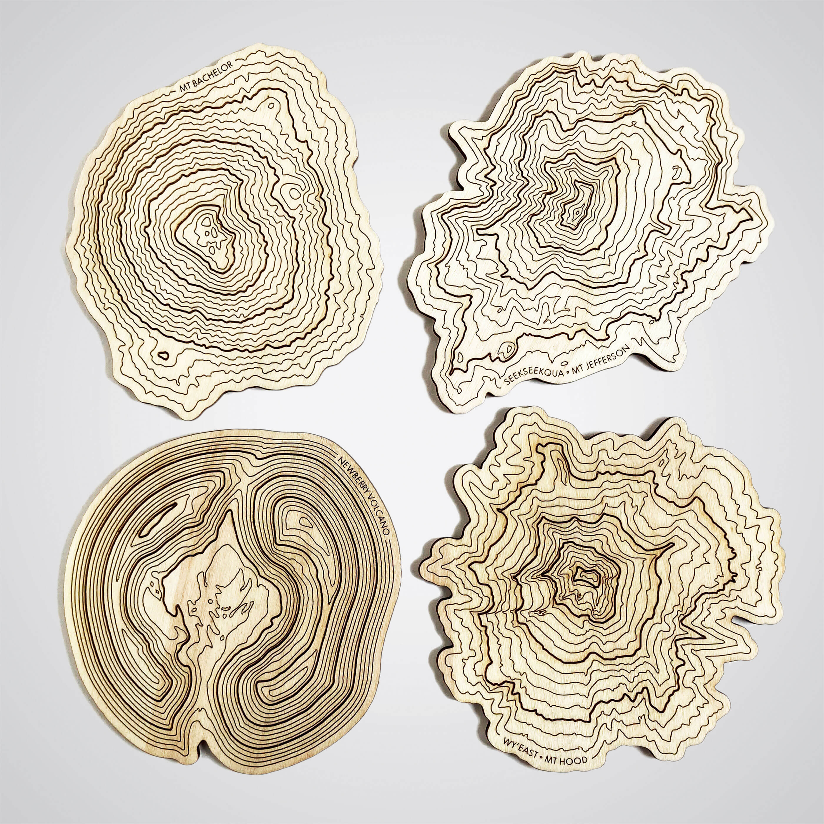 Oregon Volcanoes Topography Coasters - Set of 4