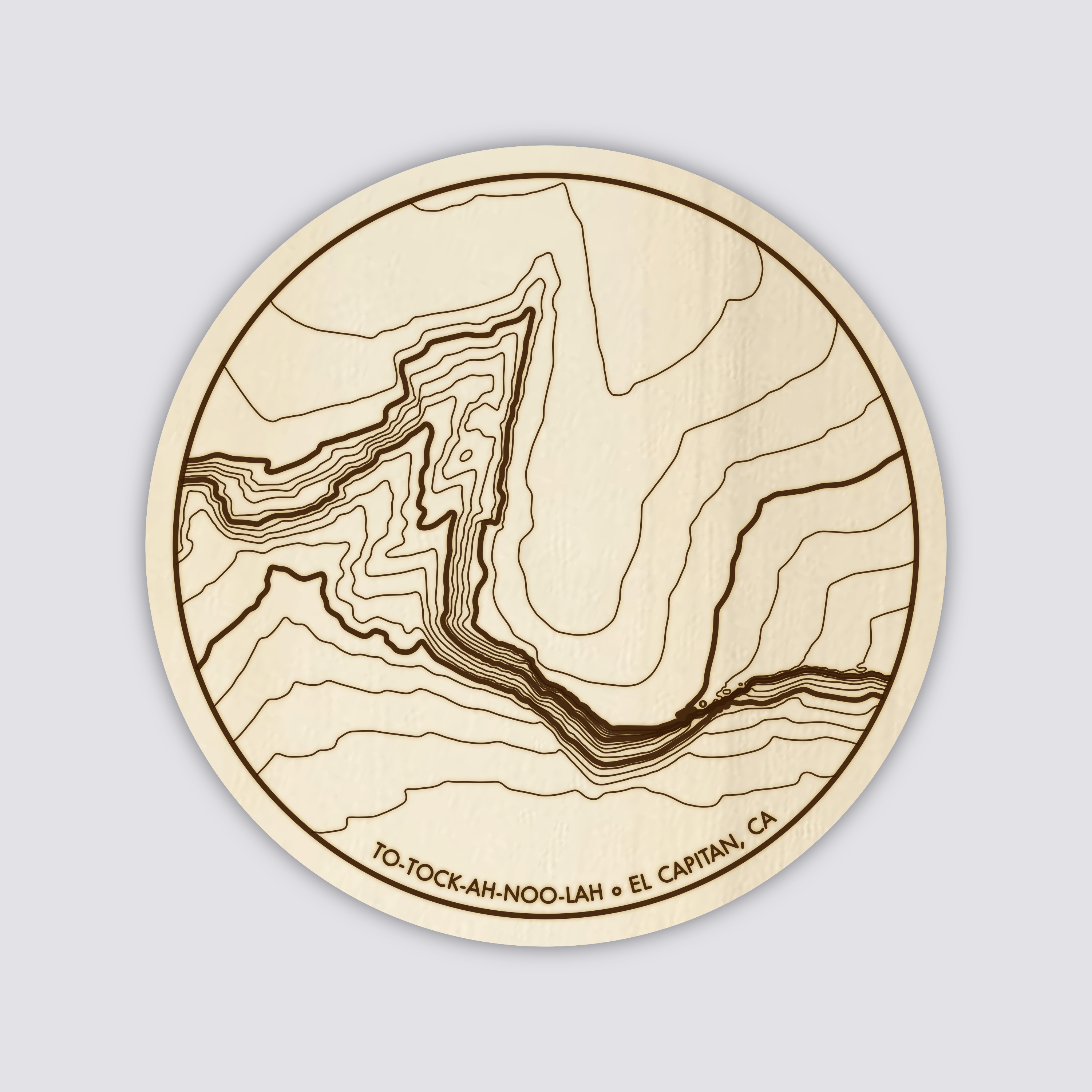 Yosemite Topography Coasters - Set of 4