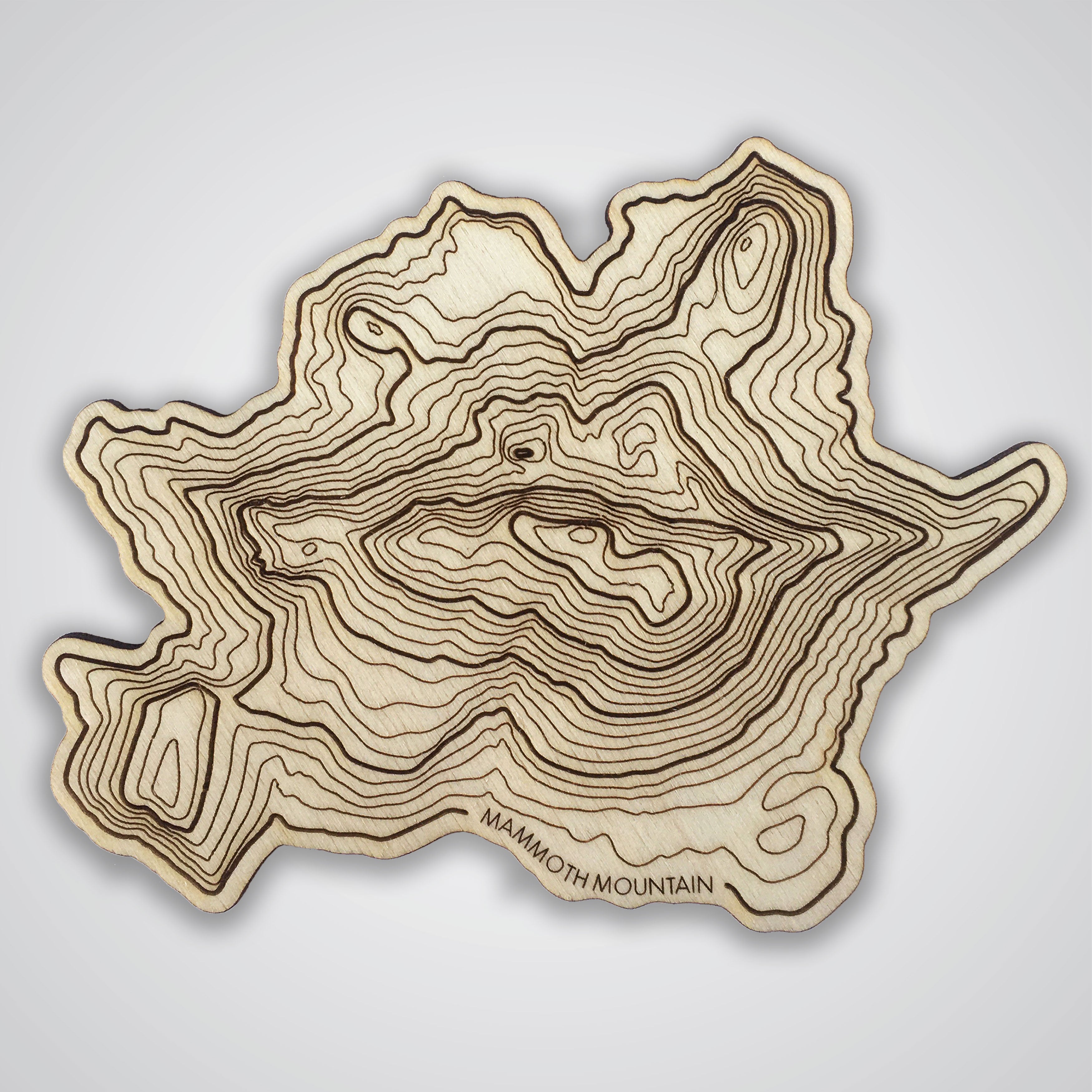Mammoth Mountain Topography Coaster - Single